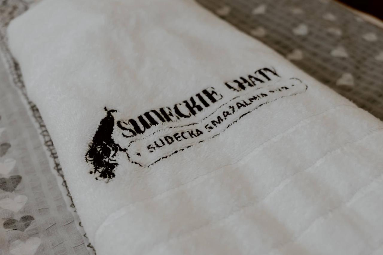 Sudecki Domek Kudowa-Zdrój Extérieur photo